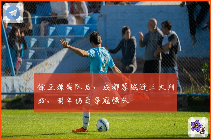 徐正源离队后，成都蓉城迎三大利好，明年仍是争冠强队