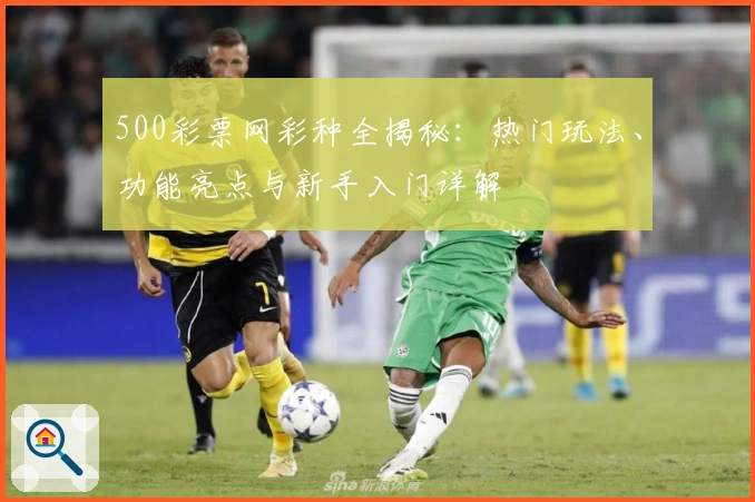 500彩票网彩种全揭秘：热门玩法、功能亮点与新手入门详解